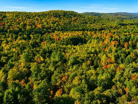 Vacant Land For Sale - Town Park Road<br/> Monticello, NY 12701