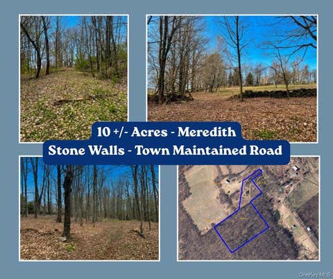 Vacant Land For Sale - LOT 4 Shaver Hill Road<br/> East Meredith, NY 13806