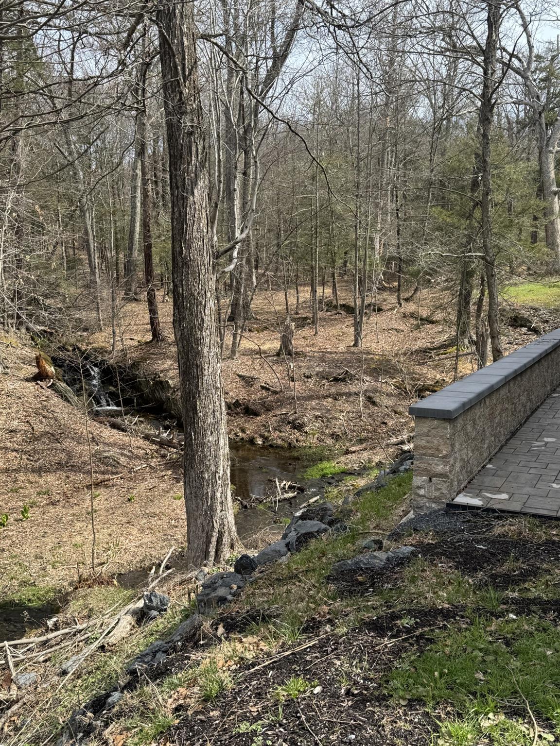 344 Schultz Hill Road, Rhinebeck, New York image 7