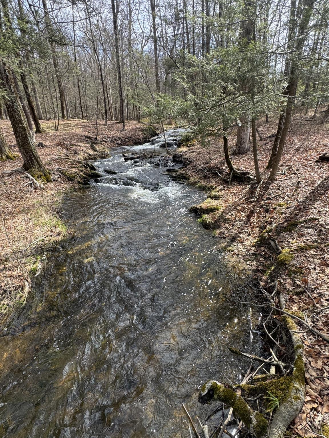 344 Schultz Hill Road, Rhinebeck, New York image 41