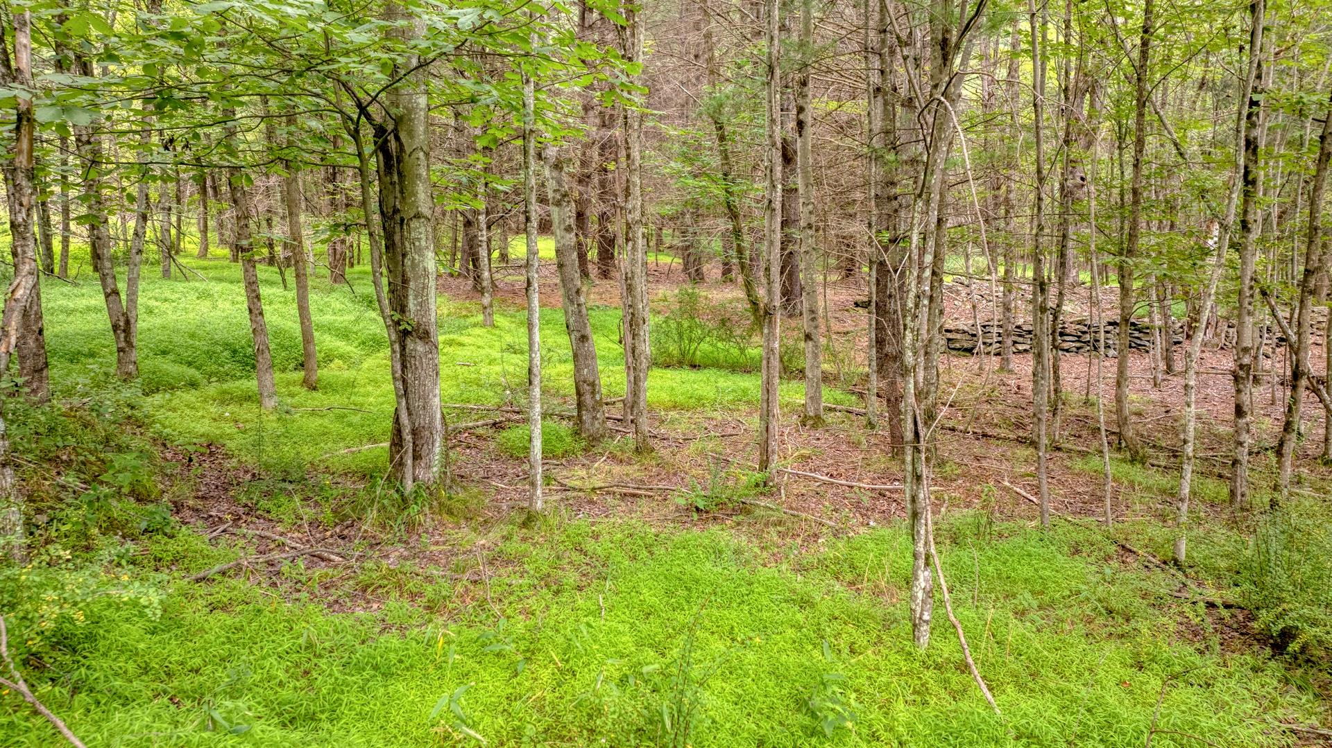 18 Jomar Lane, Olivebridge, New York image 37