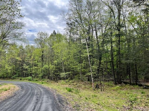 Vacant Land For Sale - 801 Oakwood Circle<br/> Kingston, NY 12401