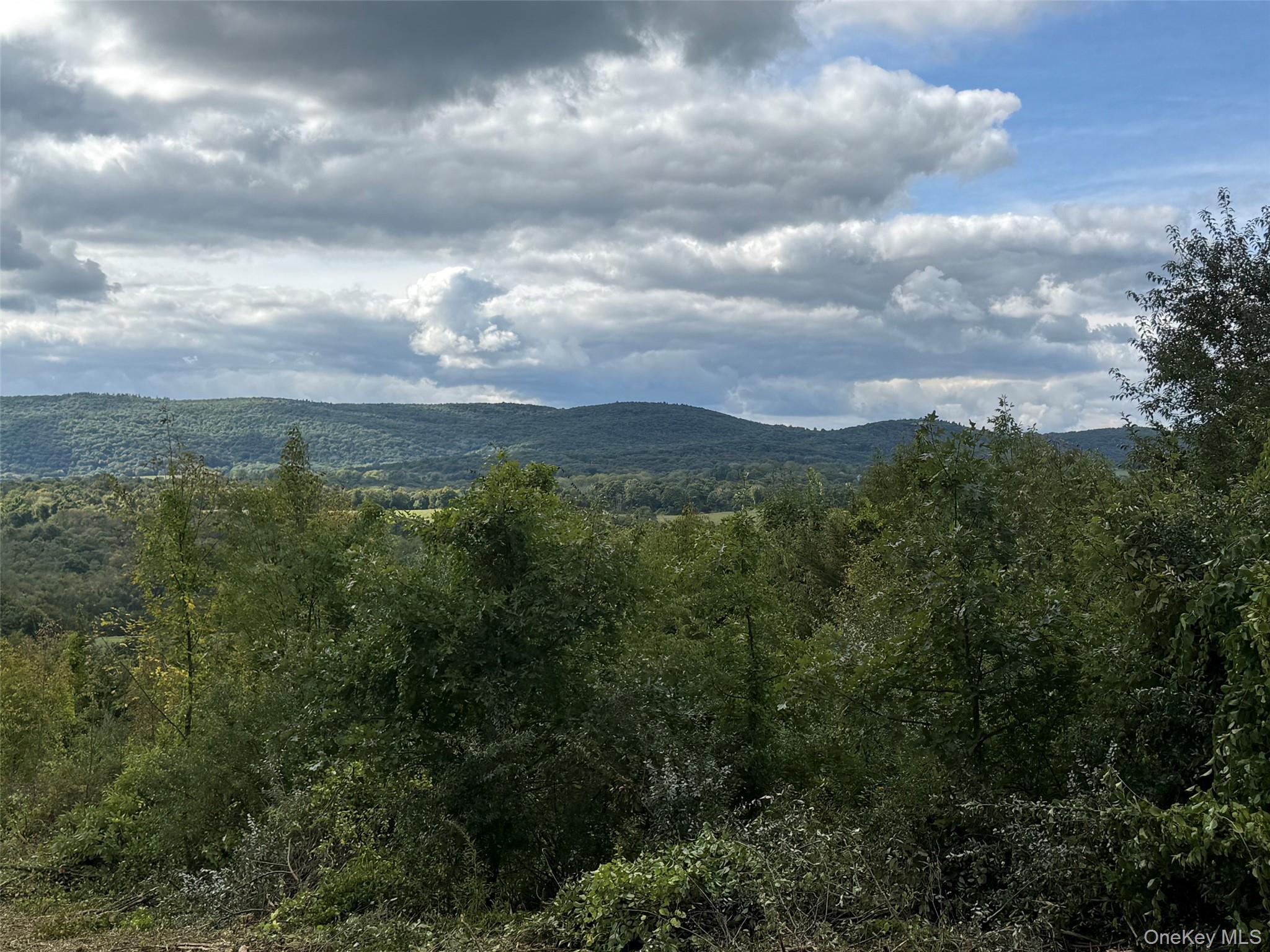 Lot # 11 Westerly Ridge Drive