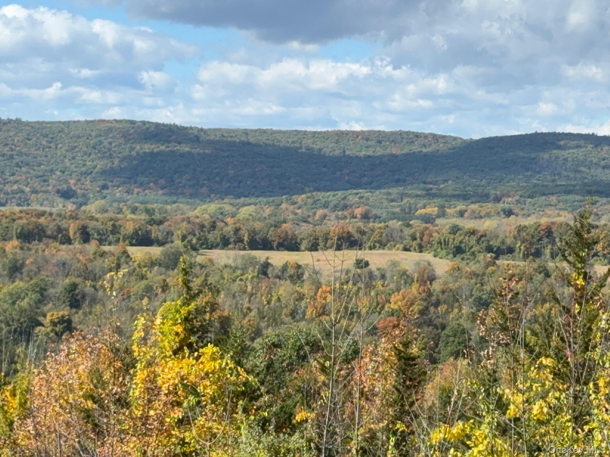 Lot # 11 Westerly Ridge Drive