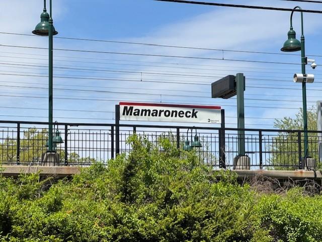 917 Hall Street, Mamaroneck, New York image 31