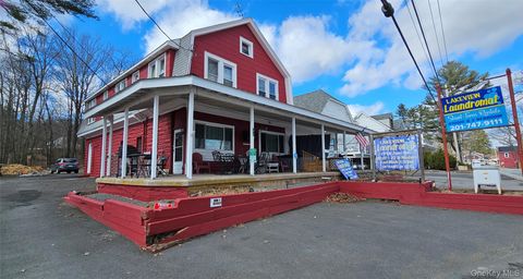 6696 Rt-52 Cochecton NY 12726