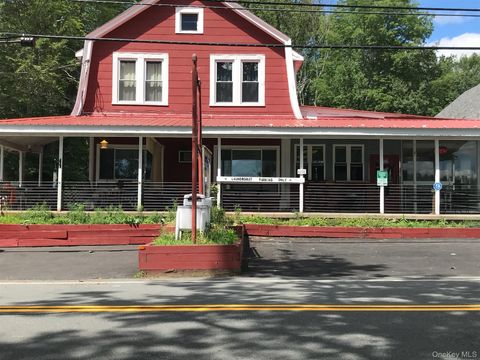 6696 Rt-52 Cochecton NY 12726