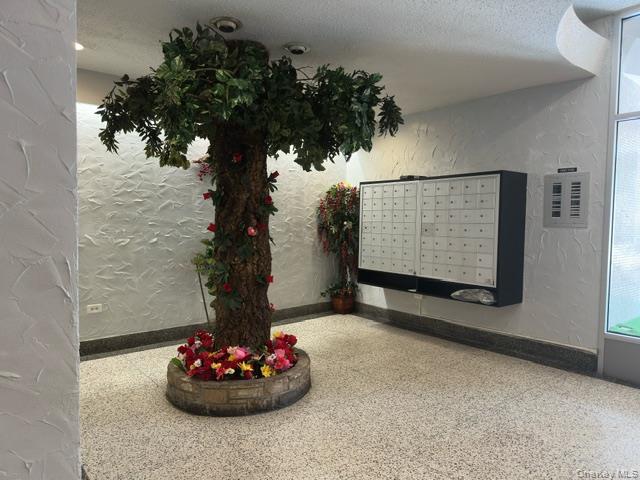 1332 Metropolitan Avenue 6A