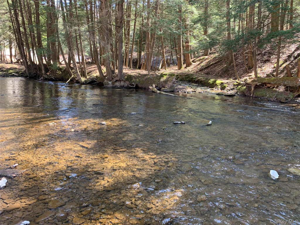 Photo of 604 Basket Road, Long Eddy, NY 12760 (MLS # 1029103)