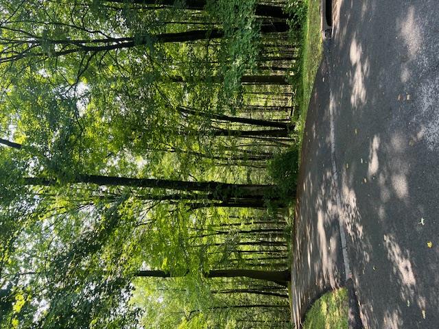 Property for Sale at Vincent Lane, Armonk, New York -  - $795,000
