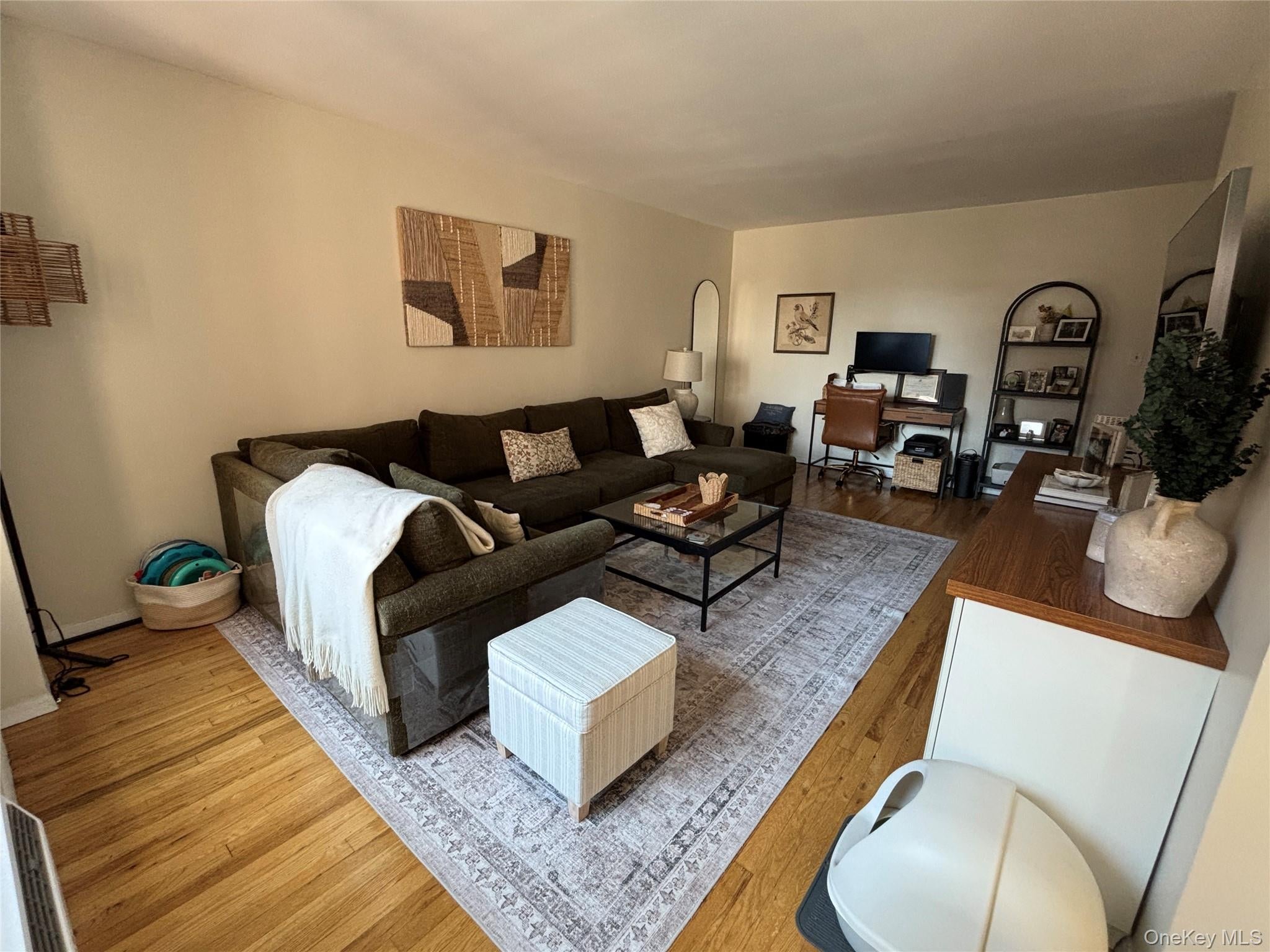 410 E. Broadway 3S - Photo 3