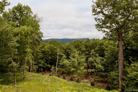 Tiny photo for 49 Sky Top Road, Copake, NY 12516 (MLS # 823302)