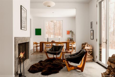 Tiny photo for 49 Sky Top Road, Copake, NY 12516 (MLS # 823302)