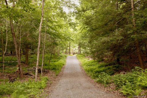 Tiny photo for 49 Sky Top Road, Copake, NY 12516 (MLS # 823302)