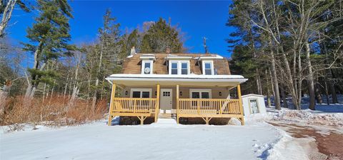 Photo of 1240 Co Road 23, Narrowsburg, NY 12764 (MLS # 961451)