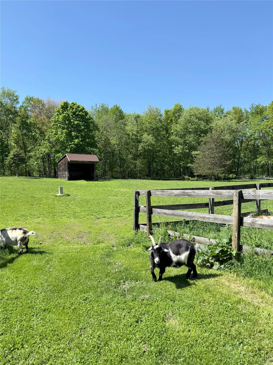 190 Crans Road, Middletown, New York image 6