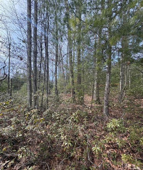 Bennett Road Napanoch NY 12458