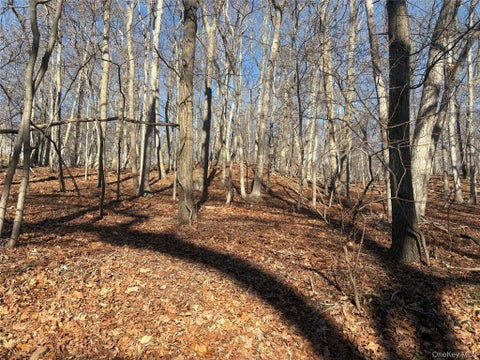 Vacant Land For Sale - Woodhull Landing<br/> Miller Place, NY 11764