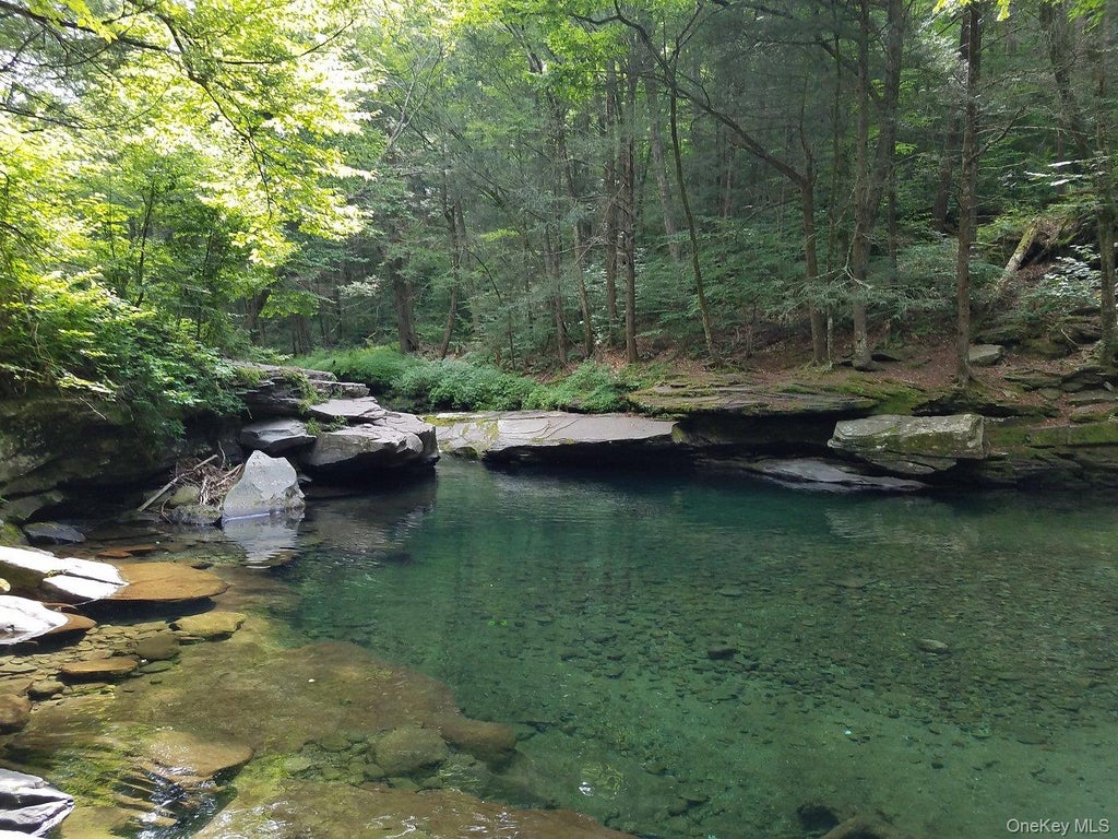 Photo of 736 Sundown Road, Sundown, NY 12740 (MLS # 1029766)