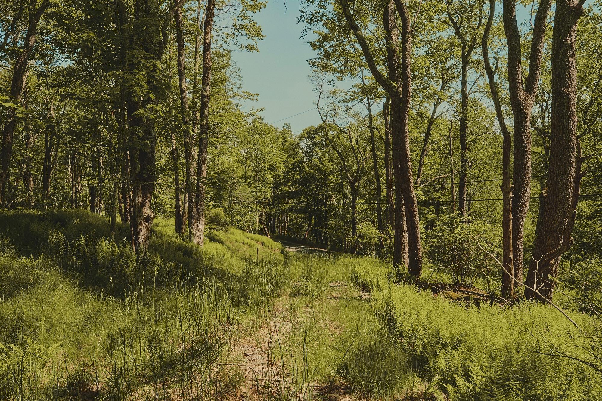 00 Benton Hollow, Liberty, New York image 6