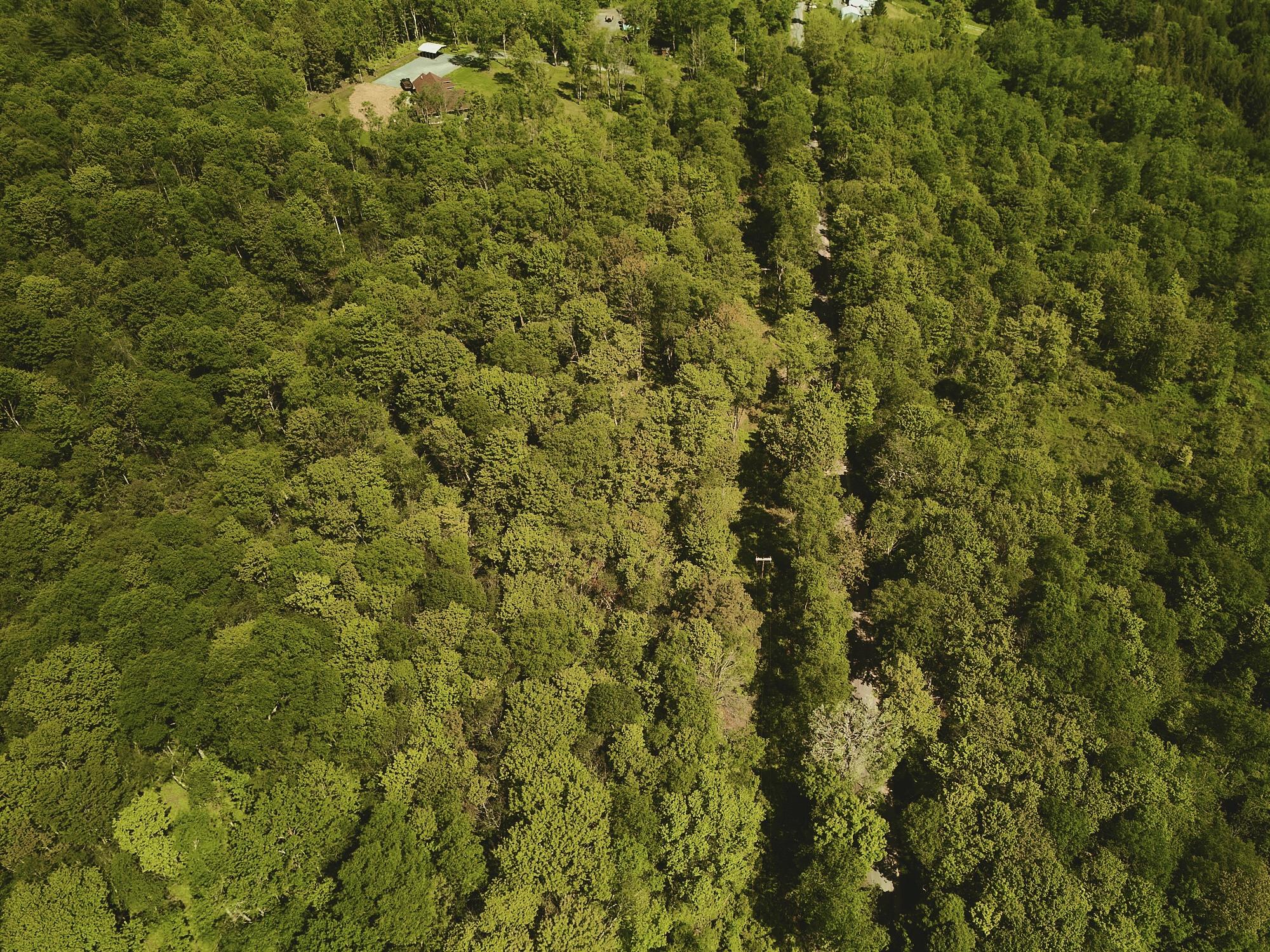 00 Benton Hollow, Liberty, New York image 3