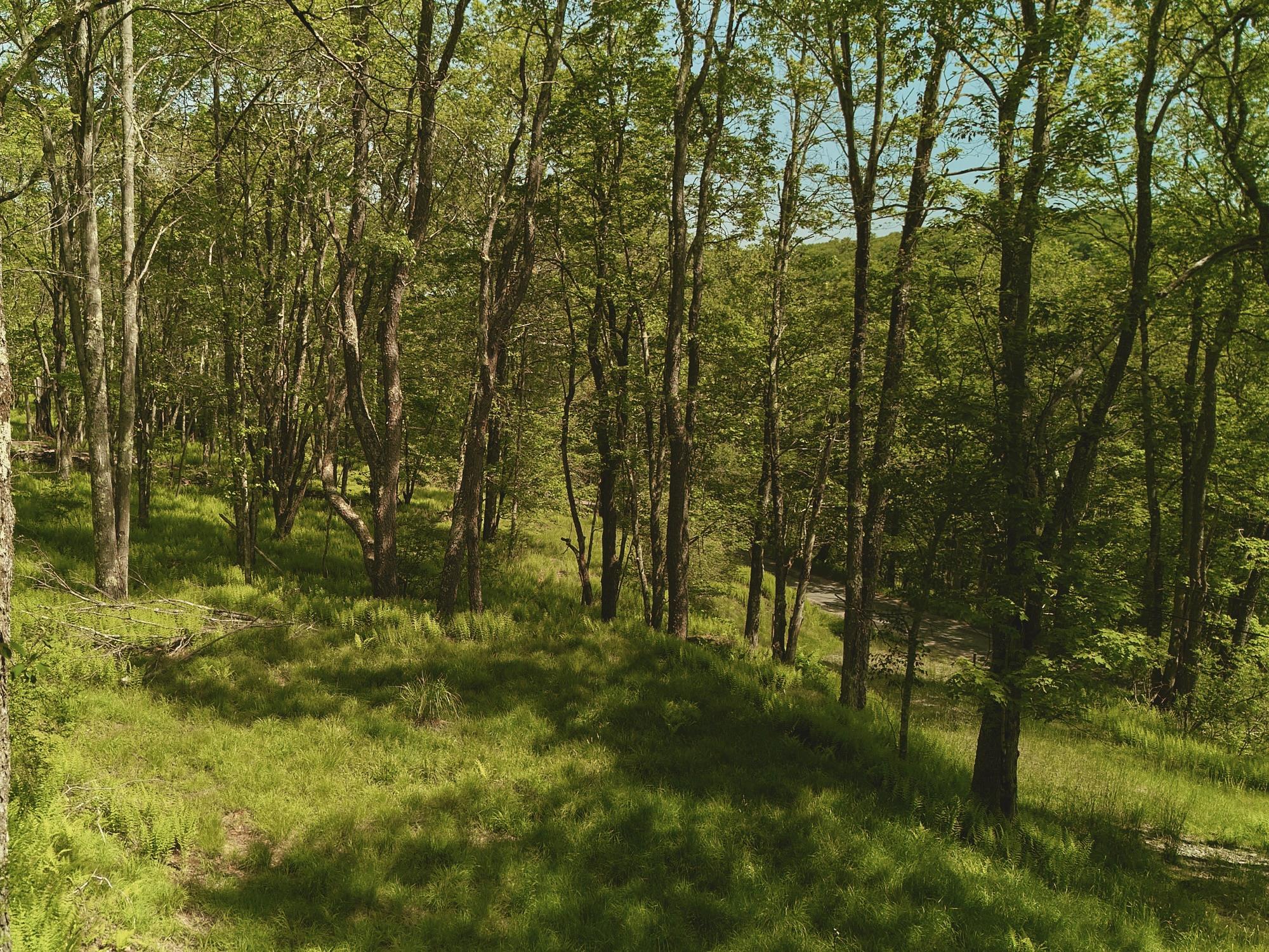 00 Benton Hollow, Liberty, New York image 10