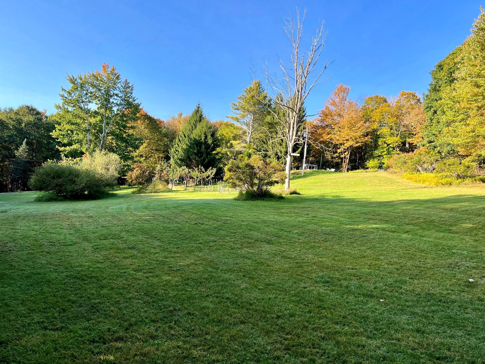 6999 State Route 42, Fallsburg, New York image 1