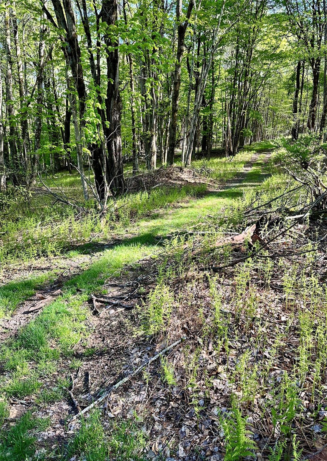 6999 State Route 42, Fallsburg, New York image 4