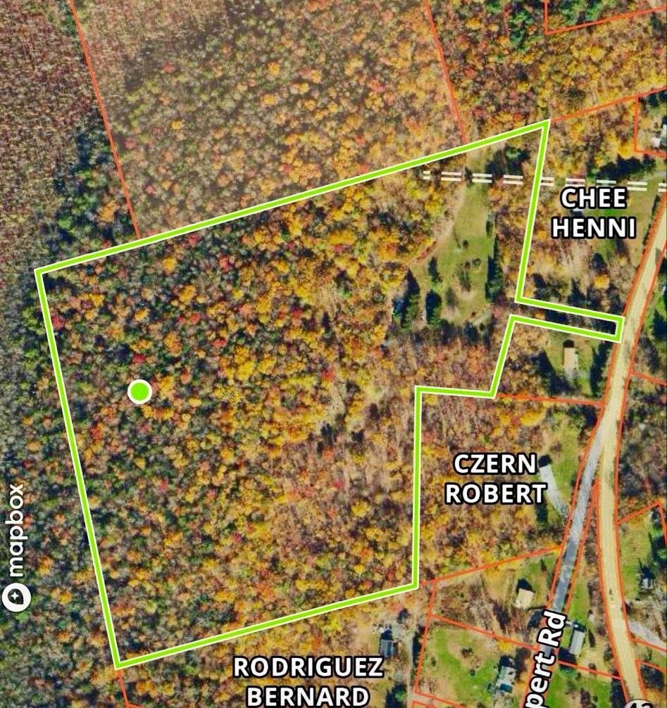 6999 State Route 42, Fallsburg, New York image 9