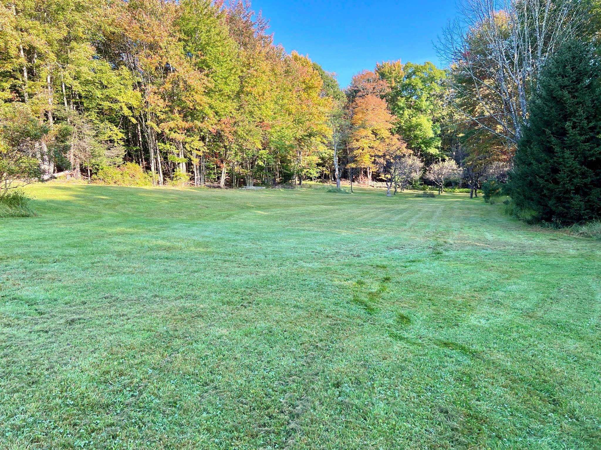 6999 State Route 42, Fallsburg, New York image 2