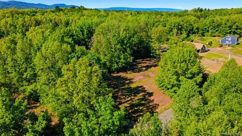 Vacant Land For Sale - 238 Bruceville Road<br/> High Falls, NY 12440