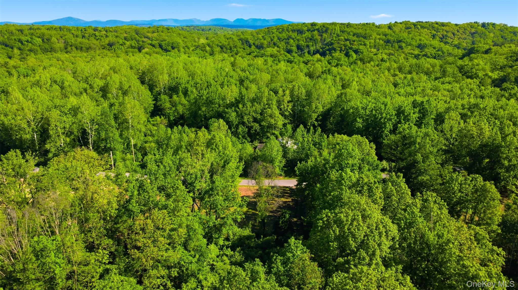 238 Bruceville Road
