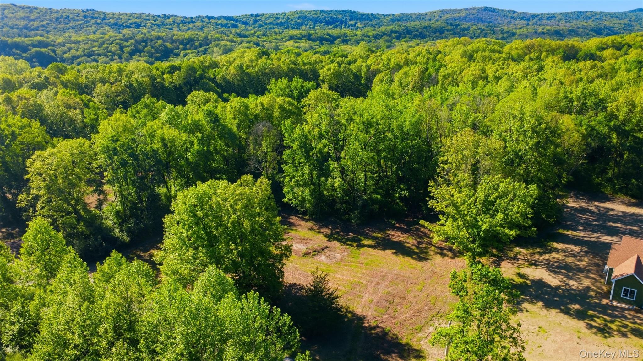 238 Bruceville Road