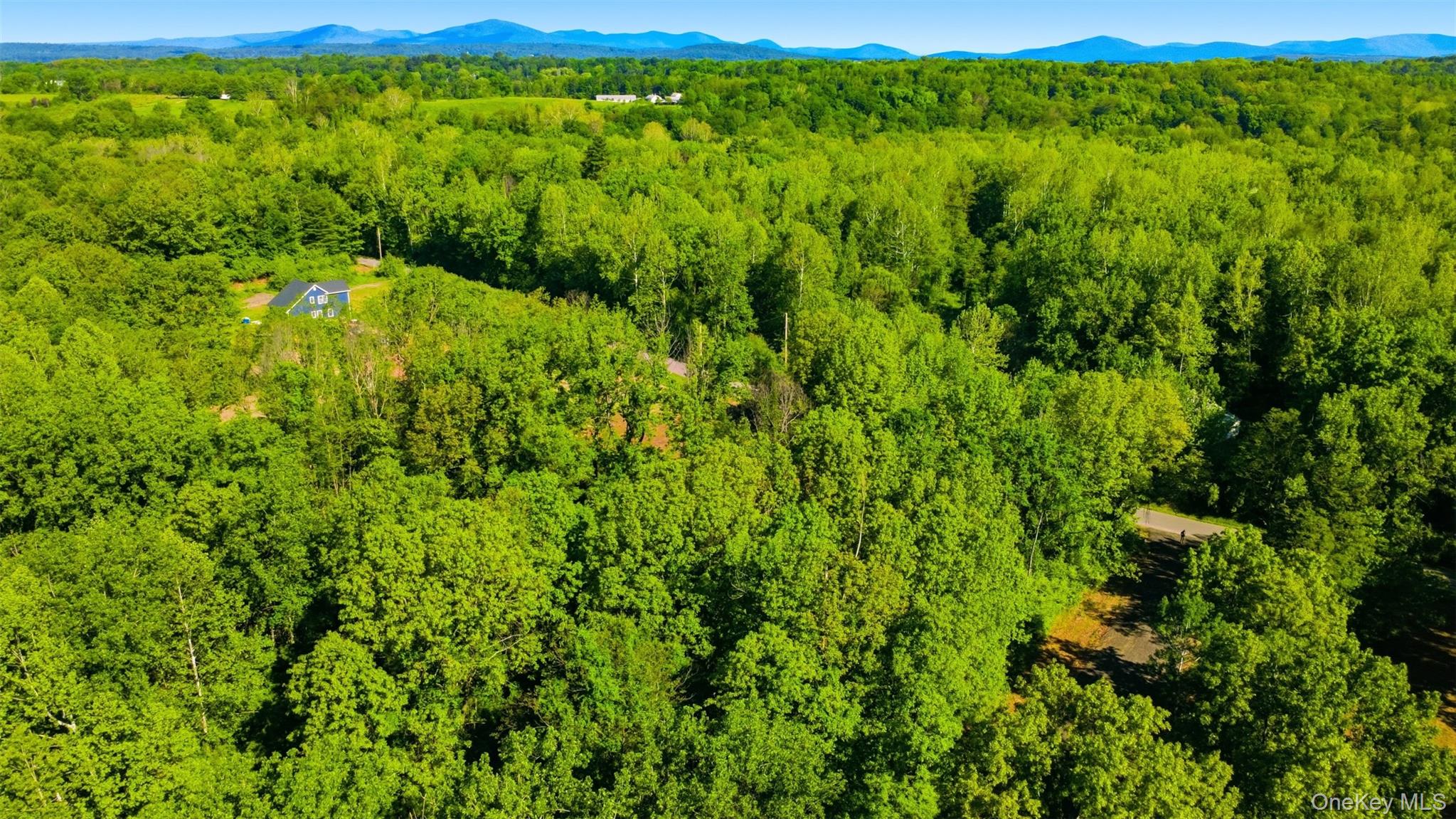 238 Bruceville Road