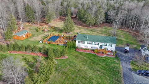 226 Big Woods Road Harris NY 12742