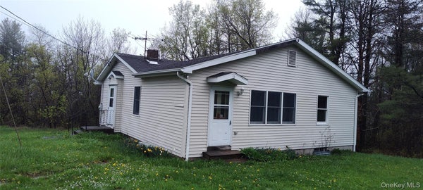 16 LAKE RD, RENSSELAERVILLE, NY 12147 - Image 44b5ca5e4538cafa2fec2ccfb459a775/209922904