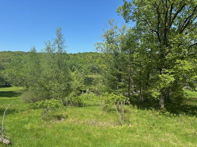 6450 B Nys 97, Narrowsburg, New York image 6