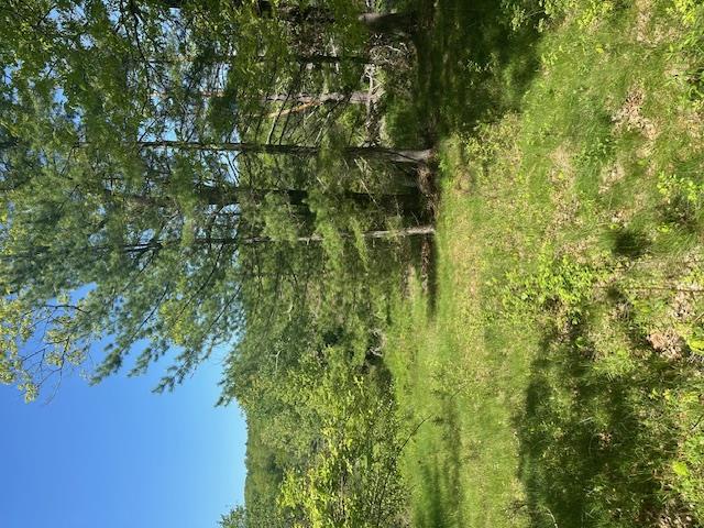 6450 B Nys 97, Narrowsburg, New York image 13