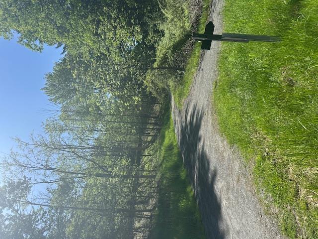 6450 B Nys 97, Narrowsburg, New York image 14