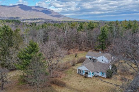 117 Ohayo Mountain Road Woodstock NY 12498