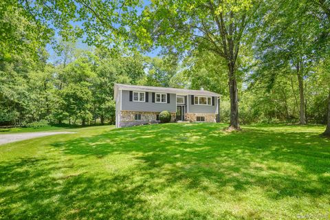 Homes For Sale - 17 Regent Drive<br/> Hopewell Junction, NY 12533