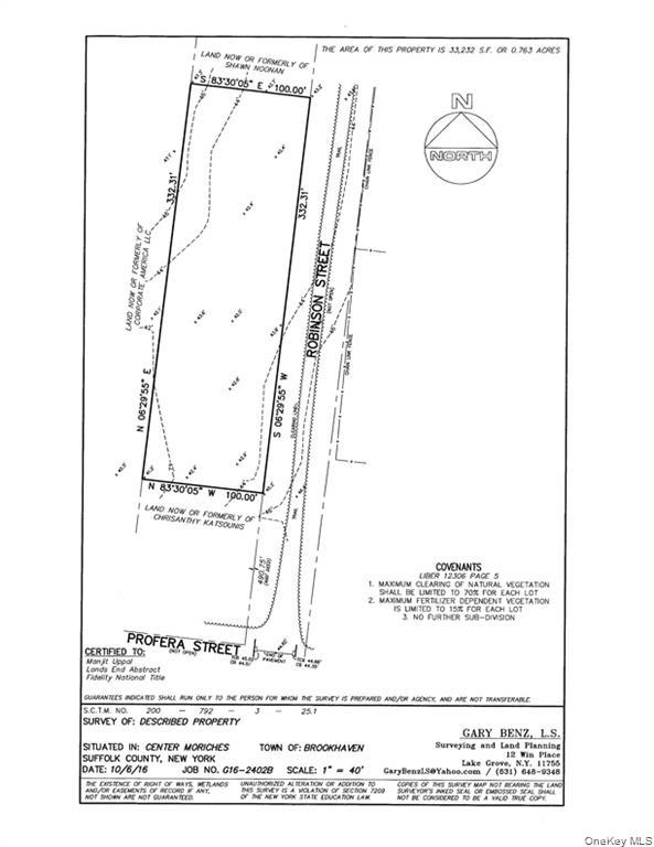 Side by Side Lots Robinson Street