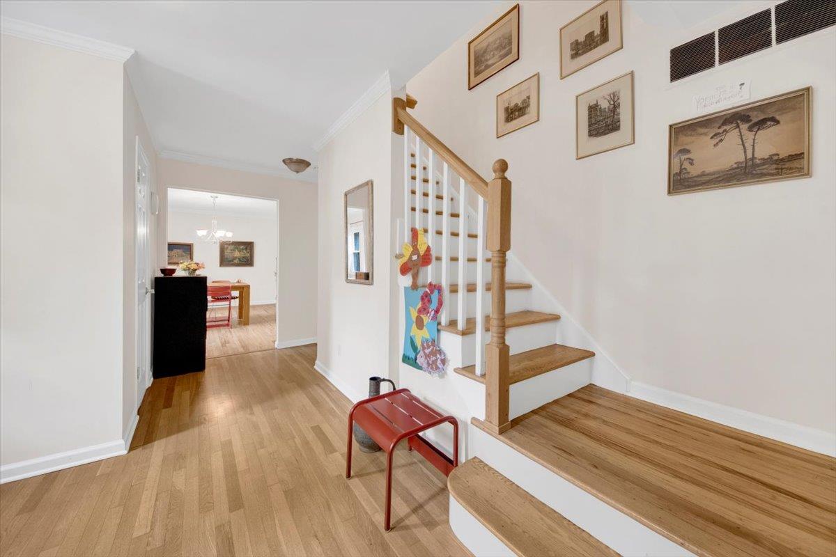 13 Romar Avenue, White Plains, New York image 28