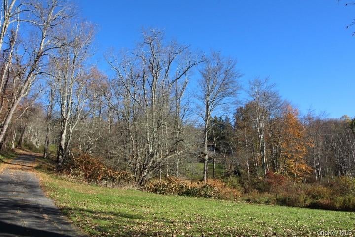 1494 Old Route 17