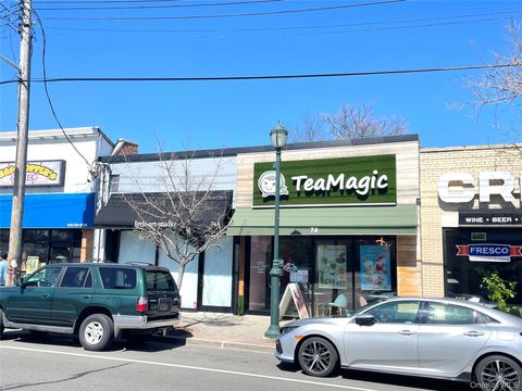 74A & 74 Hillside Avenue Williston Park NY 11596