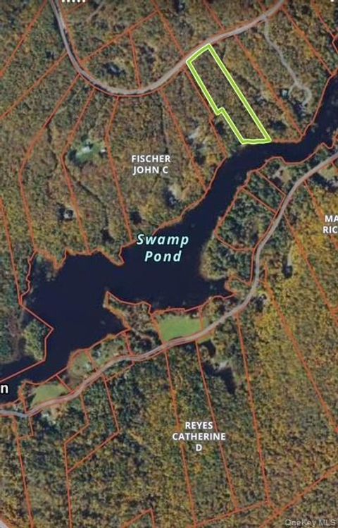 Mathias Weiden Drive Narrowsburg NY 12764