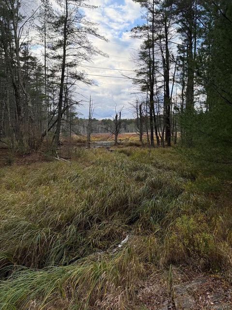 Vacant Land For Sale - Puckyhuddle Road<br/> Bethel, NY 12720