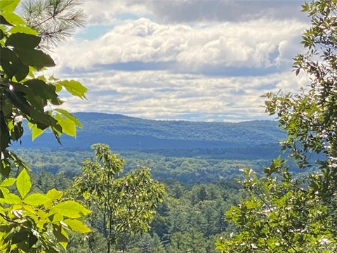 Vacant Land For Sale - Dug Hill Road<br/> Hurley, NY 12443