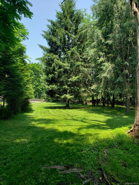Vacant Land For Sale - 30 Crescent Avenue<br/> Orange County, Newburgh, NY 12550