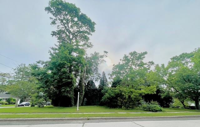 230 Park Avenue, Freeport, New York image 6